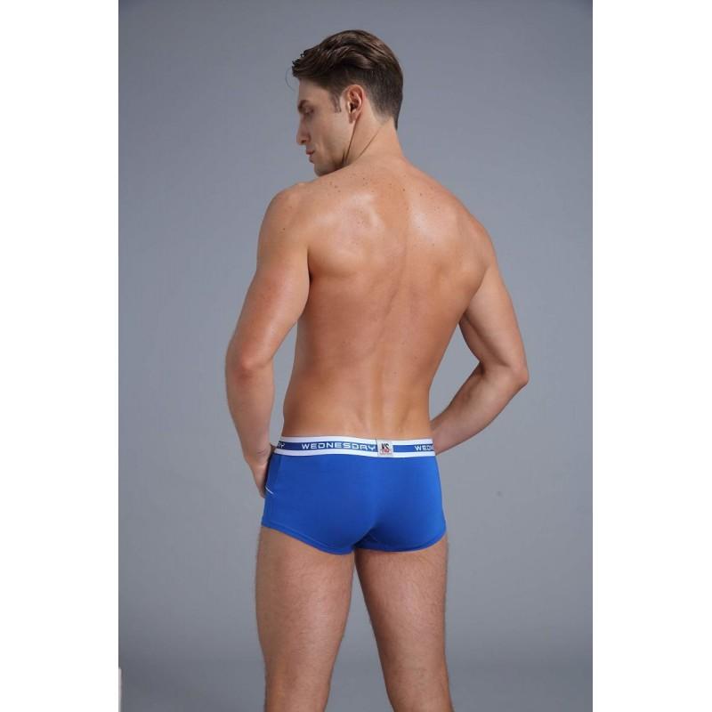 1904-PJ-Blue Boxer Briefs TasteeTreasures