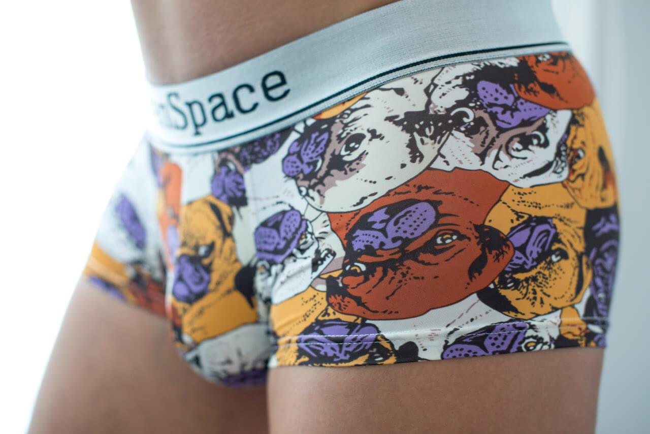 Pug Boxer Briefs Boxer Briefs TasteeTreasures