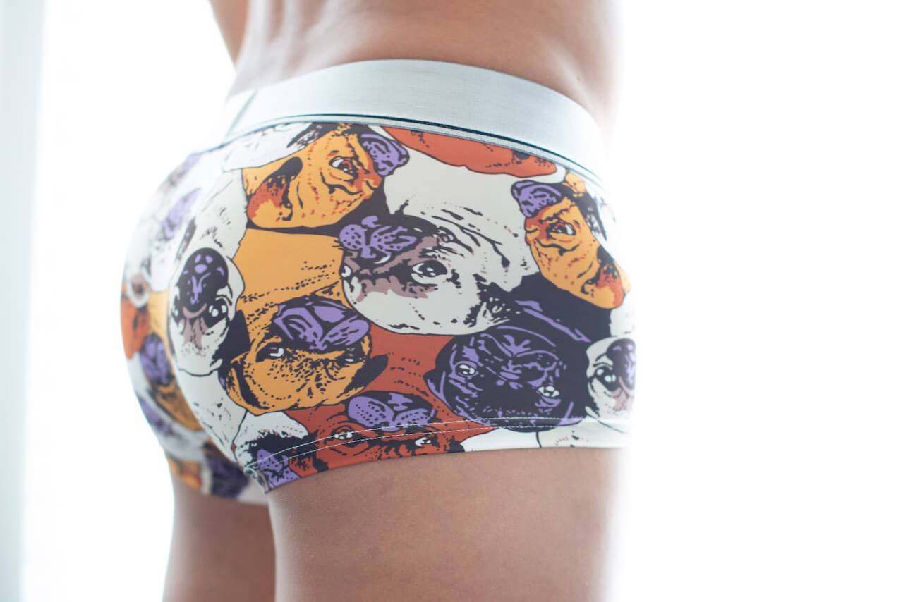 Pug Boxer Briefs Boxer Briefs TasteeTreasures 28in-30in