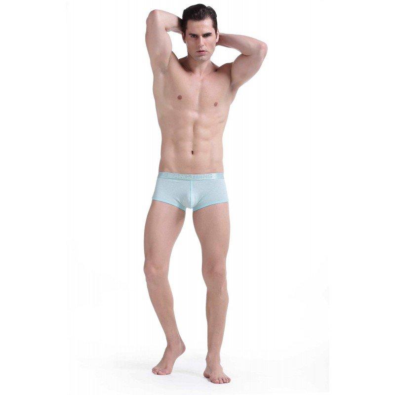 Simple Green Boxer Briefs Boxer Briefs TasteeTreasures