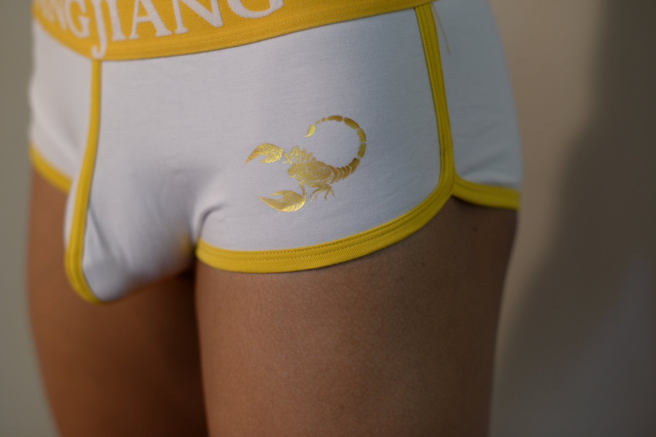 The Stinger Briefs - White Briefs TasteeTreasures 28in-30in White