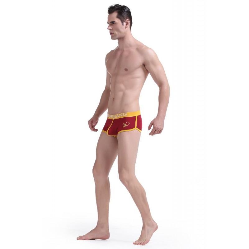 WJ Cotton Briefs - Red Briefs TasteeTreasures