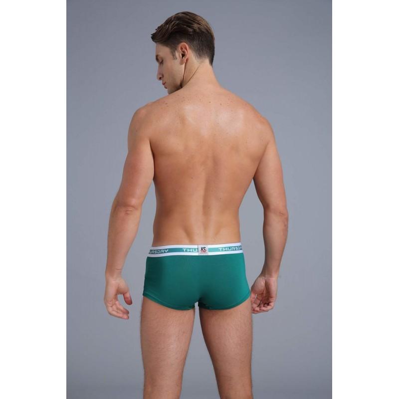 1904-PJ-Green Boxer Briefs TasteeTreasures Green 28in-30in 