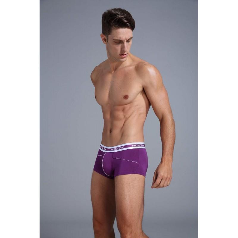 1904-PJ-Purple Boxer Briefs TasteeTreasures 