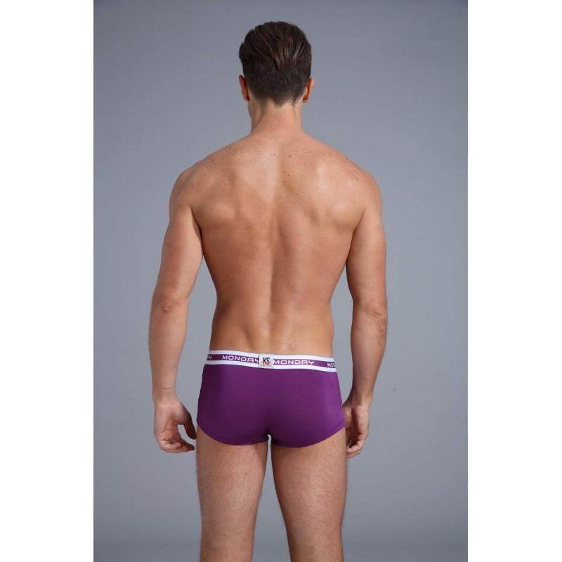1904-PJ-Purple Boxer Briefs TasteeTreasures Purple 28in-30in 