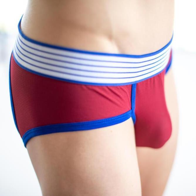 Maroon Bottomless Briefs Briefs TasteeTreasures 