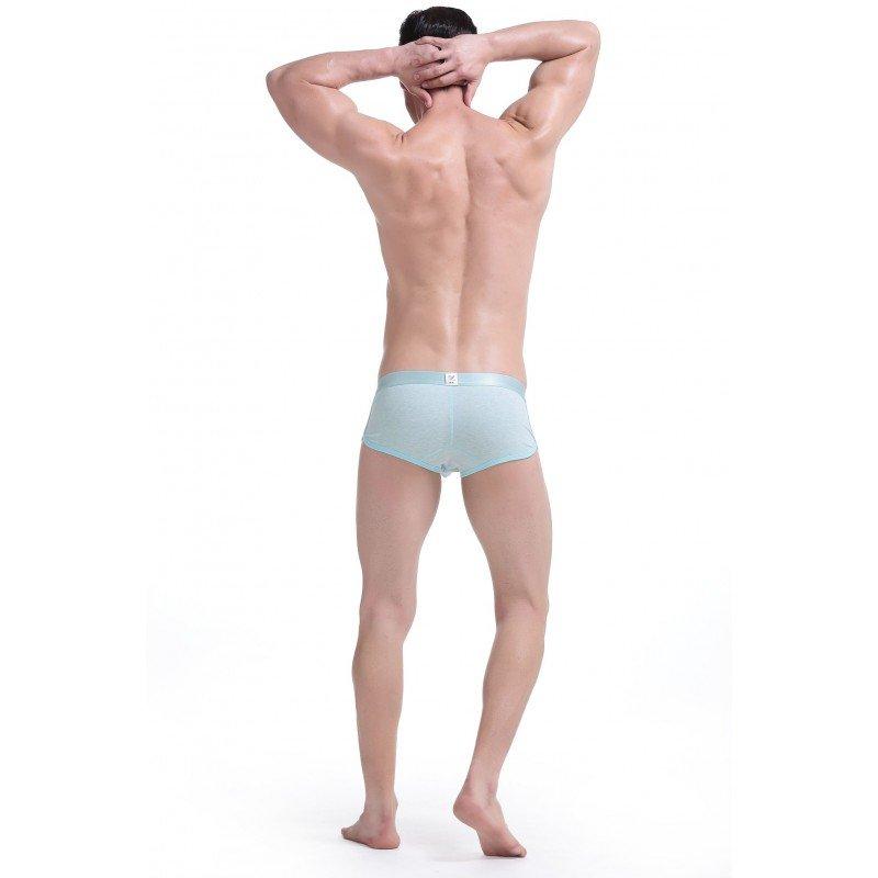 Simple Green Boxer Briefs Boxer Briefs TasteeTreasures 