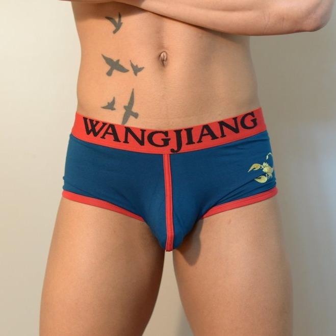 The Stinger Briefs - Navy Blue Briefs TasteeTreasures 