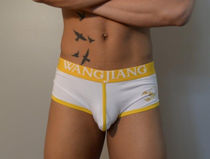 The Stinger Briefs - White Briefs TasteeTreasures 