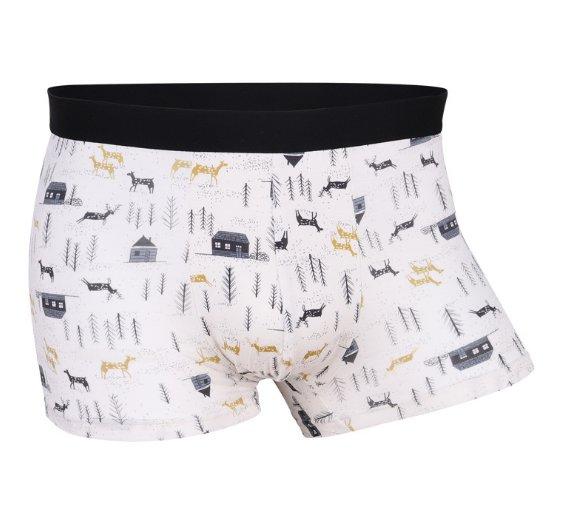 Winter Escape Boxer Briefs TasteeTreasures 