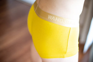 WJ Gold Band Boxer Briefs - Yellow Boxer Briefs TasteeTreasures 